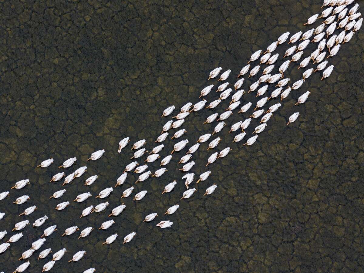 Konya’nın ünlü gölünde kuraklık sonrası sevindiren dönüş 3